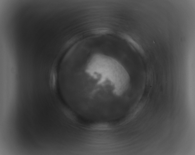 X0000100840110200807070941