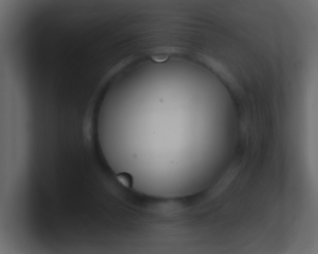 X0000100840112200807070941