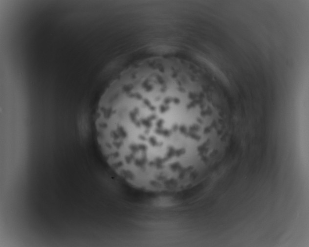 X0000100840114200807070941