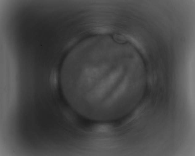 X0000100840115200807070941