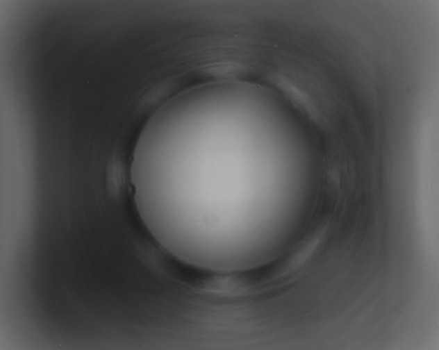 X0000100840117200807070941