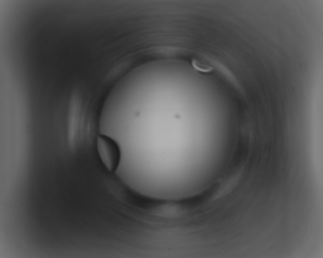 X0000100840119200807070941