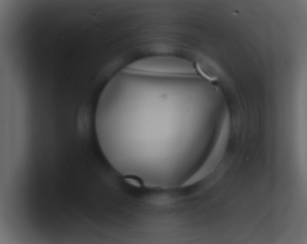 X0000100840120200807070941