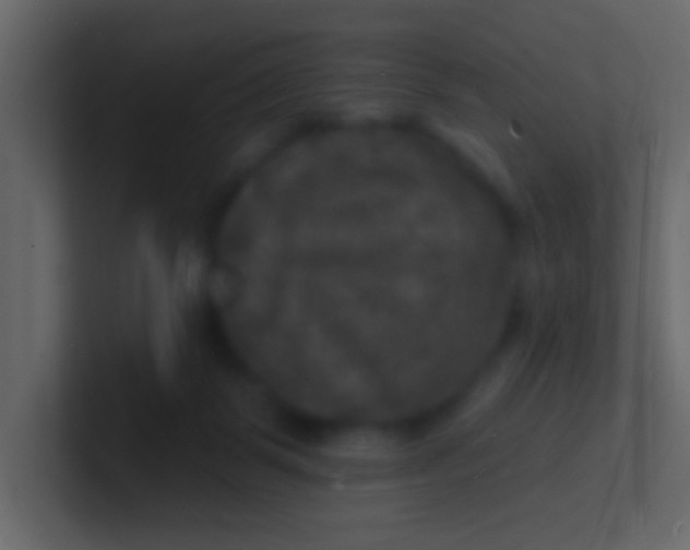 X0000100840123200807070941