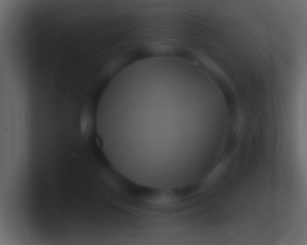 X0000100840124200807070941