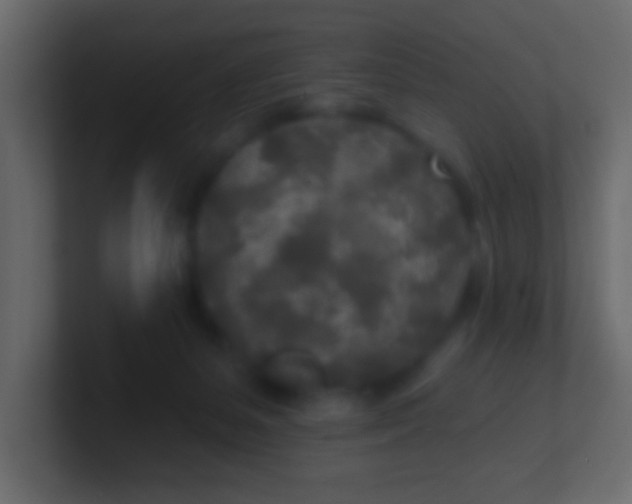 X0000100840127200807070941