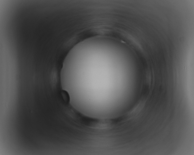 X0000100840128200807070941