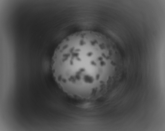 X0000100840130200807070941