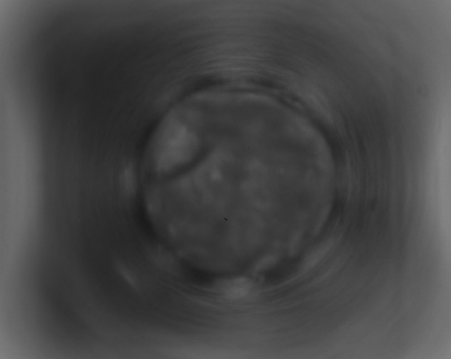 X0000100840131200807070941