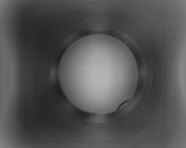 X0000100840138200807070941