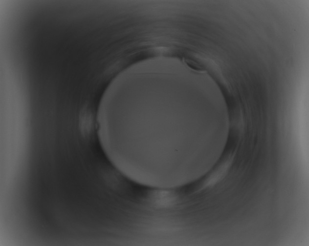 X0000100840139200807070941