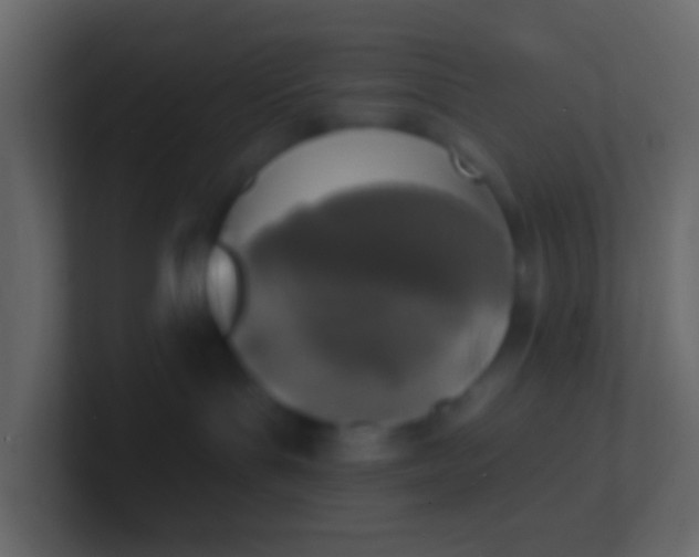 X0000100840143200807070941