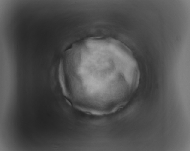 X0000100840144200807070941