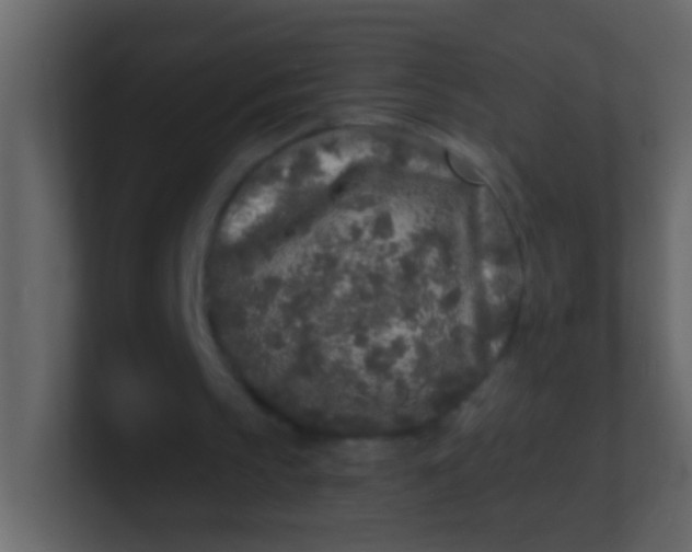 X0000100840145200807070940