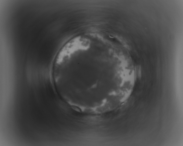 X0000100840147200807070940