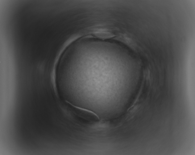 X0000100840148200807070940