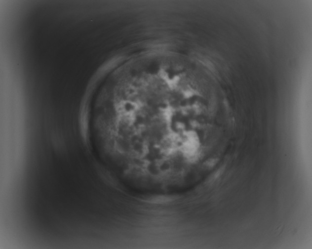 X0000100840149200807070940