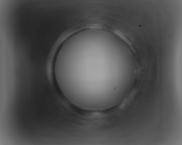 X0000100840151200807070940