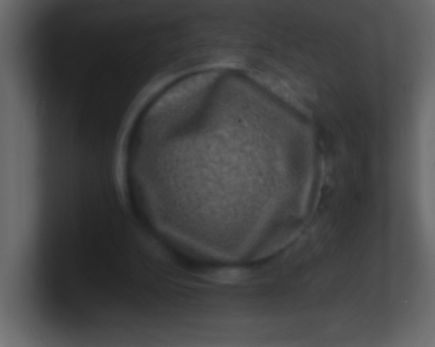 X0000100840152200807070940