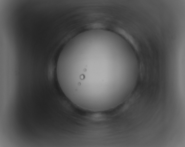 X0000100840153200807070940