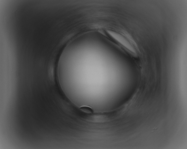 X0000100840154200807070941