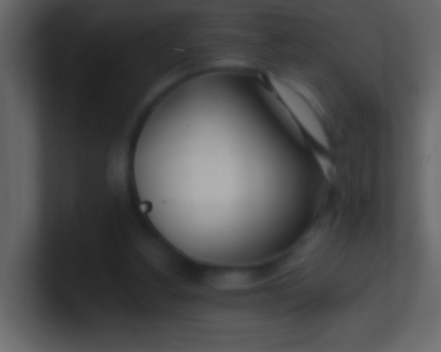 X0000100840156200807070941