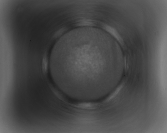 X0000100840157200807070941