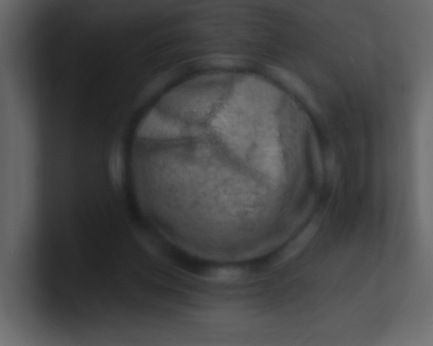 X0000100840158200807070941