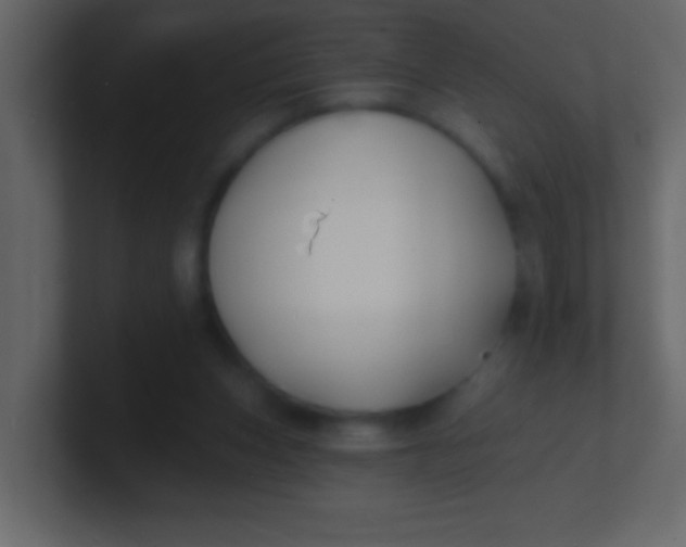 X0000100840159200807070941