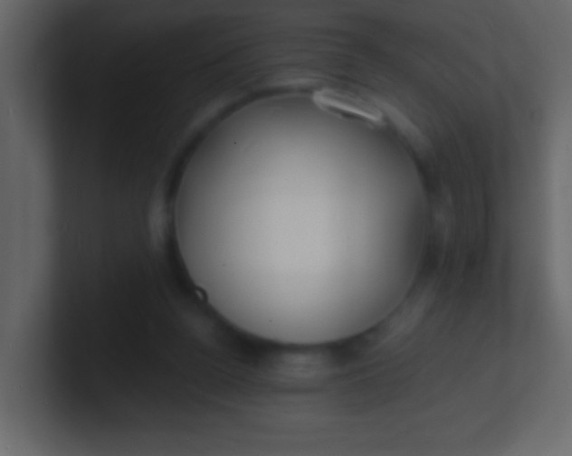 X0000100840160200807070941