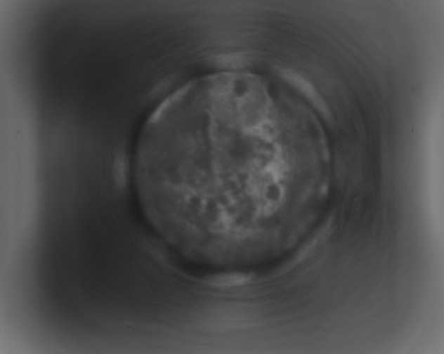 X0000100840161200807070941