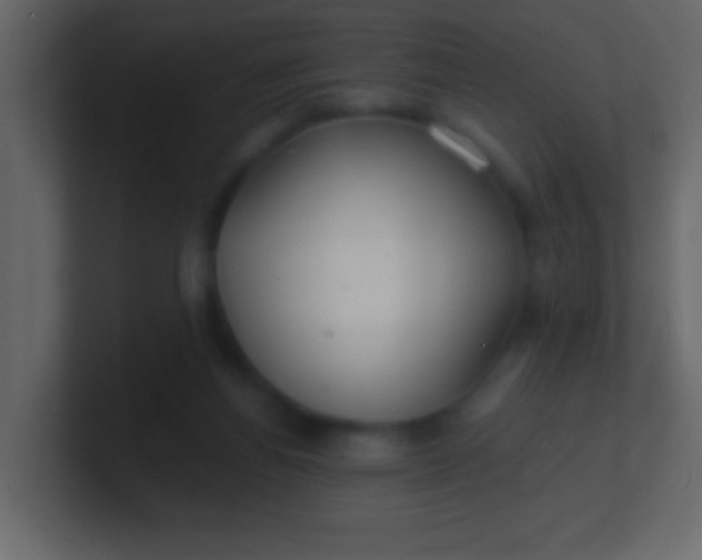 X0000100840164200807070941