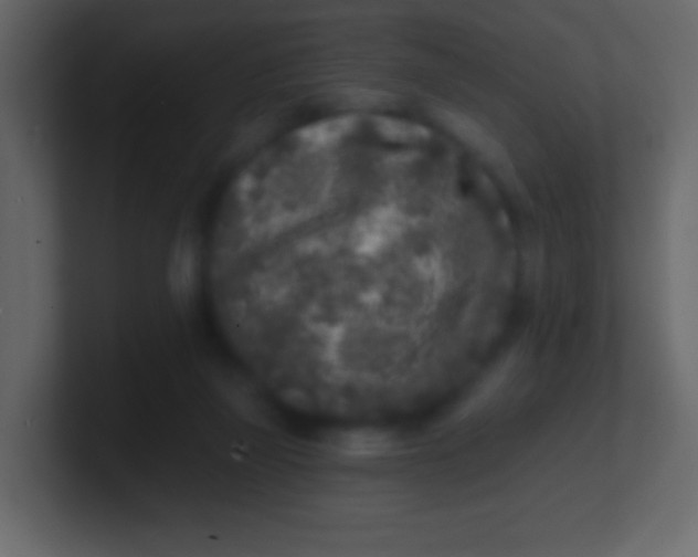 X0000100840165200807070941