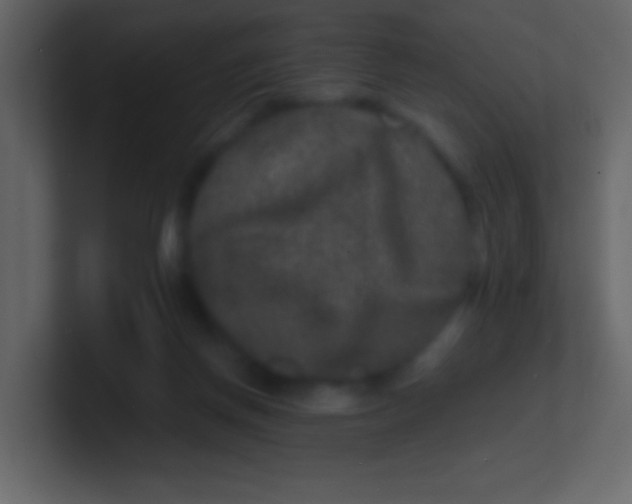 X0000100840166200807070941