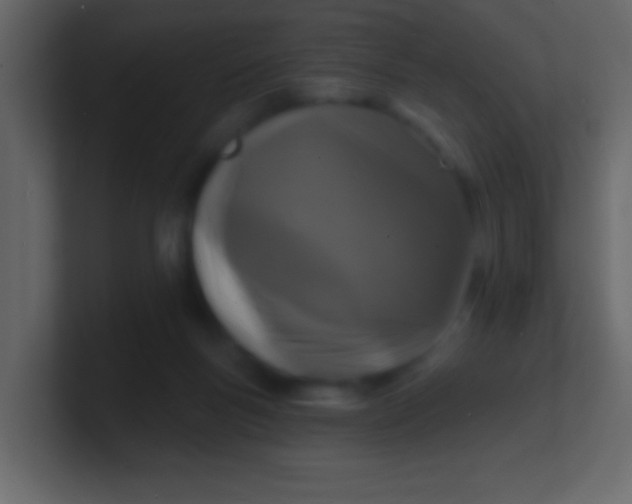 X0000100840167200807070941