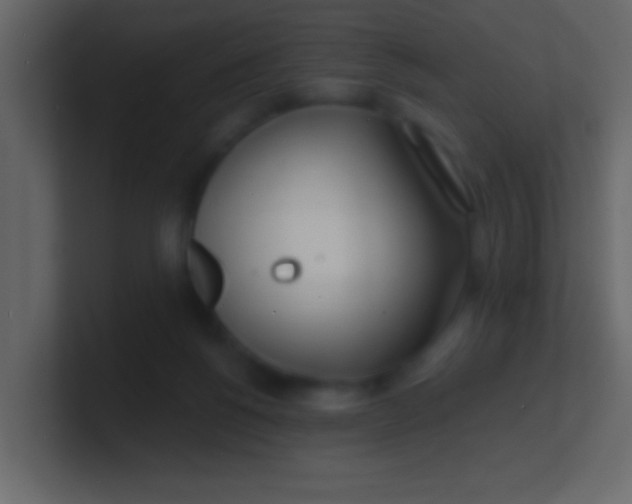 X0000100840168200807070941