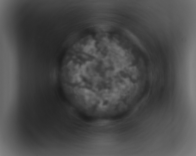 X0000100840169200807070941