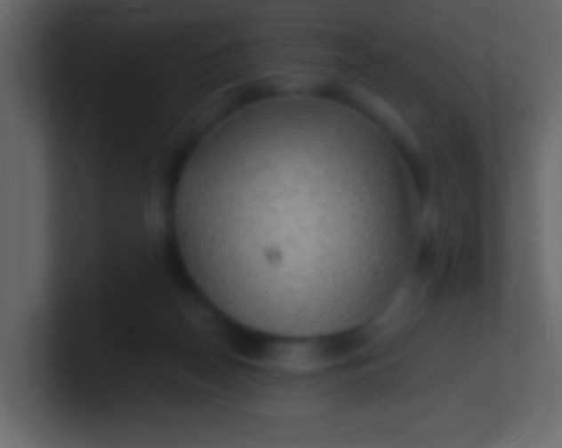 X0000100840170200807070941