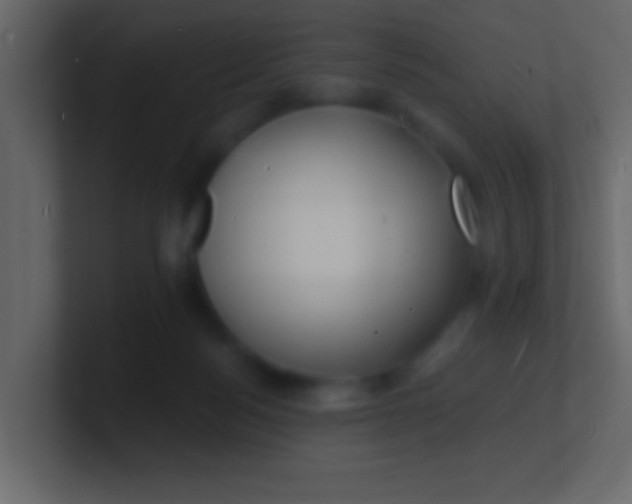 X0000100840172200807070941