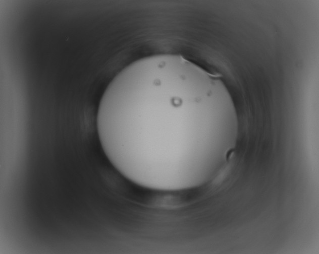 X0000100840174200807070941