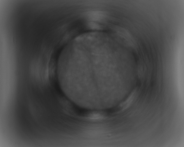 X0000100840175200807070941