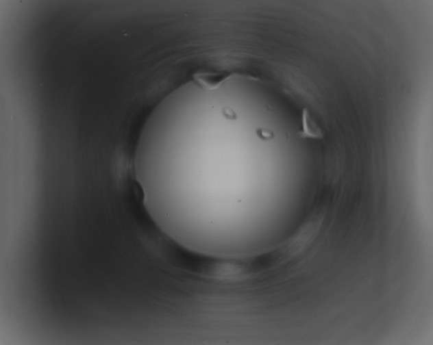 X0000100840176200807070941