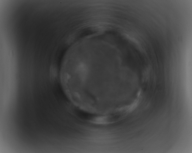 X0000100840178200807070941