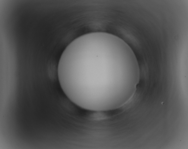 X0000100840183200807070941