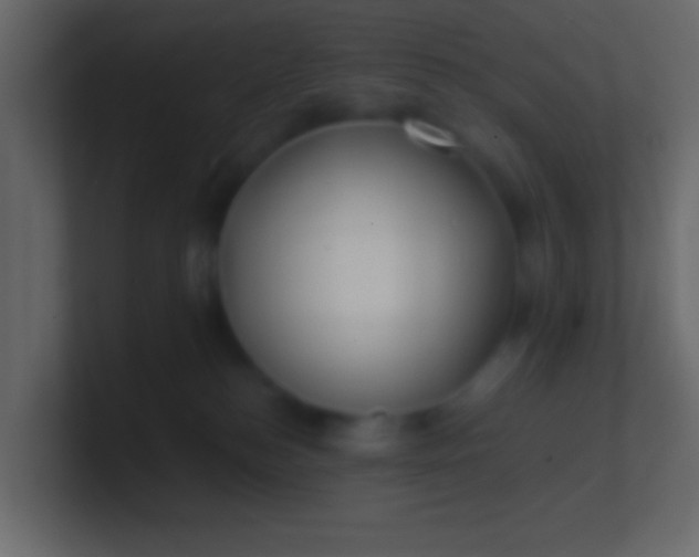 X0000100840184200807070941