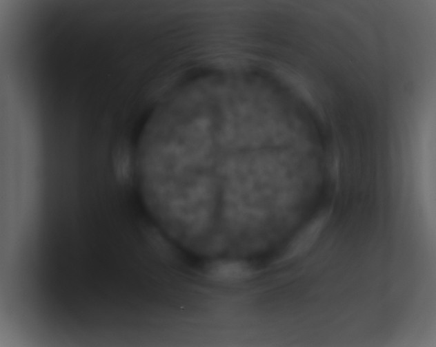 X0000100840185200807070941