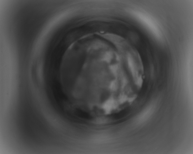 X0000100840189200807070941