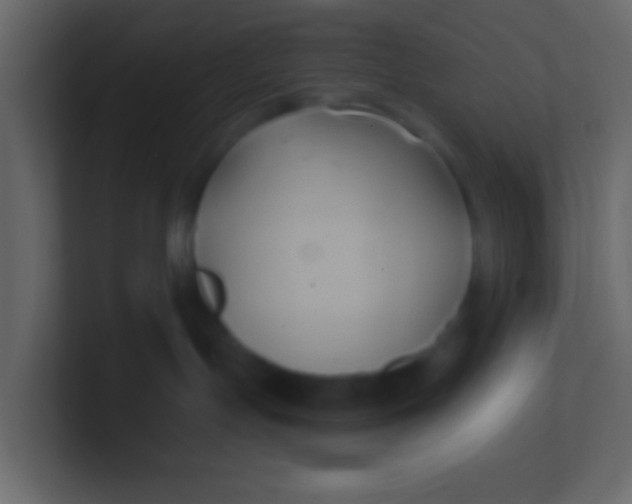 X0000100840191200807070941