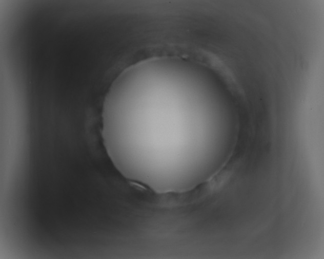 X0000100840192200807070941