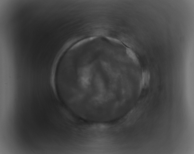 X0000100840195200807070940